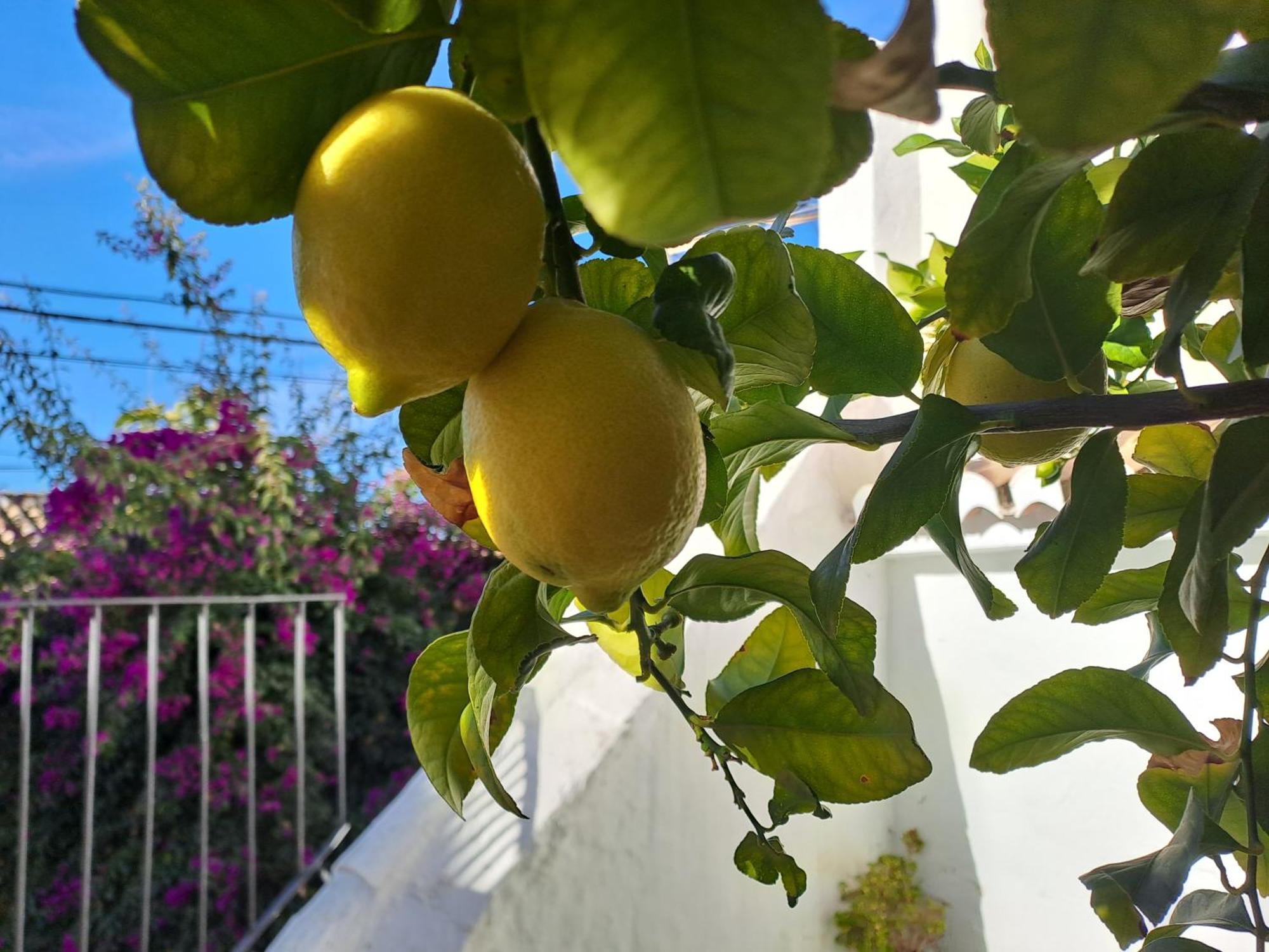 Apartament Casa Alhambra - Centro Historico Con Jardin Privado Grenada Zewnętrze zdjęcie